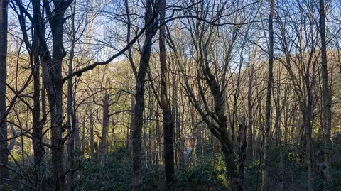 00 Falls Dr W, Highlands, NC 28741 photo 14
