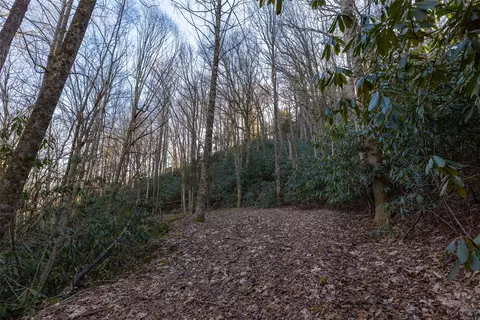 00 Falls Dr W, Highlands, NC 28741 photo 3