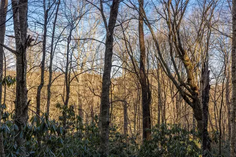 00 Falls Dr W, Highlands, NC 28741 photo 7
