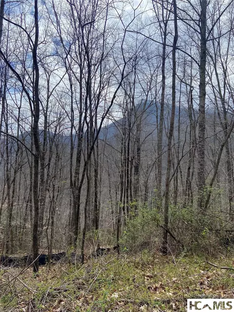 27 Mayfly # A, Tuckasegee, NC 28783 photo 5