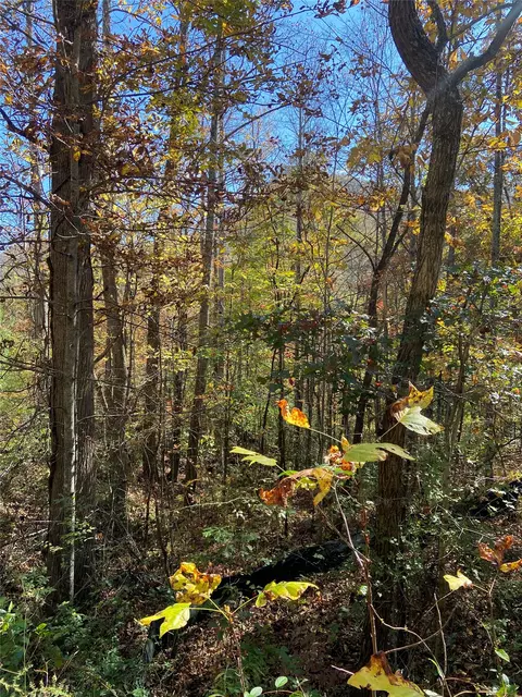 8 9 Lowland Glade # B, Tuckasegee, NC 28783