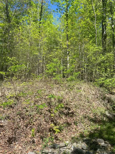 23 Green Drake Ln, Cullowhee, NC 28723 photo 3