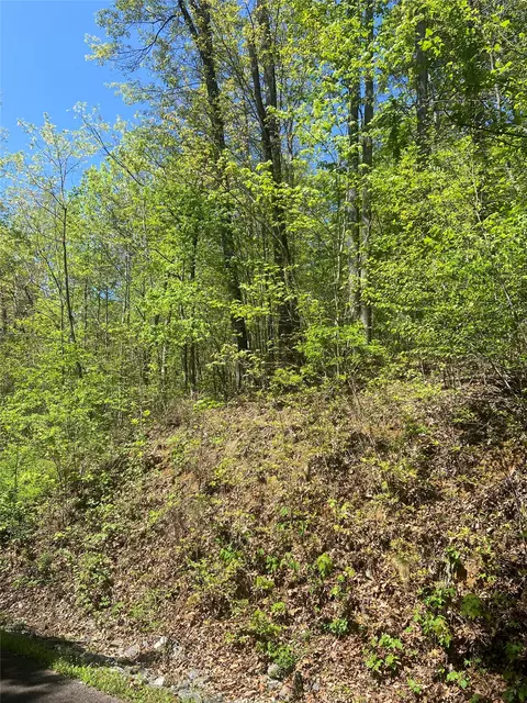 23 Green Drake Ln, Cullowhee, NC 28723 photo 2