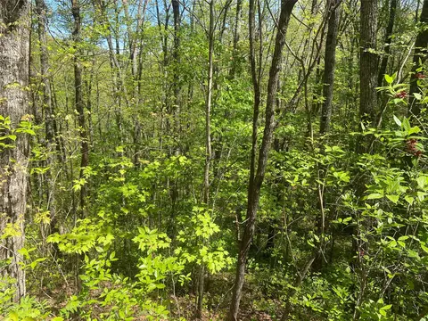 77 Royal Wulff Dr, Cullowhee, NC 28723 photo 2