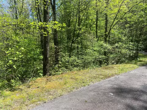 77 Royal Wulff Dr, Cullowhee, NC 28723 photo 3