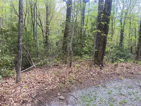 45 Wild Cherry Ct, Sapphire, NC 28774 photo 3