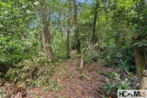 29 North Long Bridge Lane, Cullowhee, NC 28717 photo 9