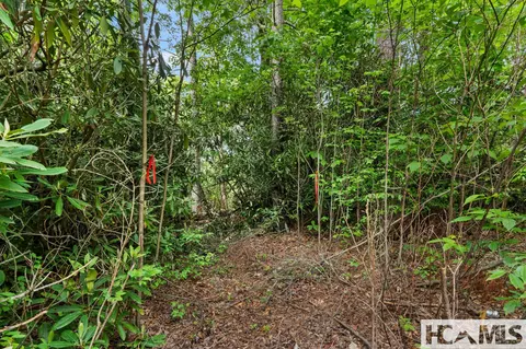 29 North Long Bridge Lane, Cullowhee, NC 28717 photo 8