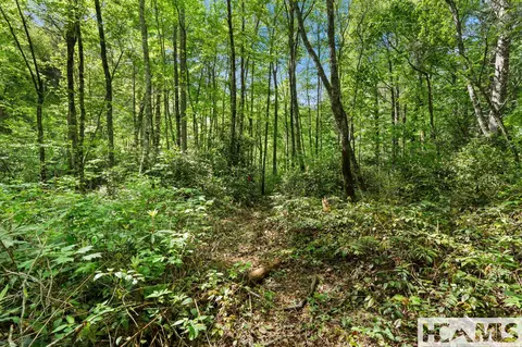 29 North Long Bridge Lane, Cullowhee, NC 28717 photo 16