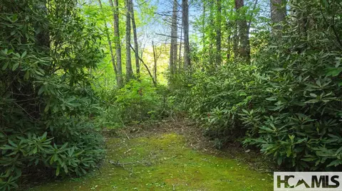 29 North Long Bridge Lane, Cullowhee, NC 28717 photo 7