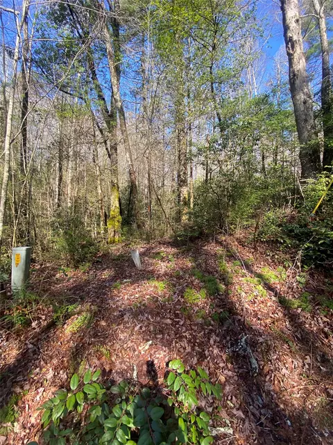 tbd Sunrise Ct, Sapphire, NC 28774 photo 4