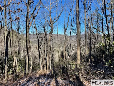 36 Rock Mountain Rd, Sapphire, NC 28774 photo 2