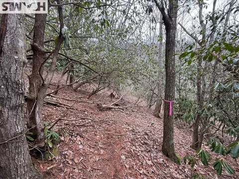 36 Rock Mountain Rd, Sapphire, NC 28774 photo 9