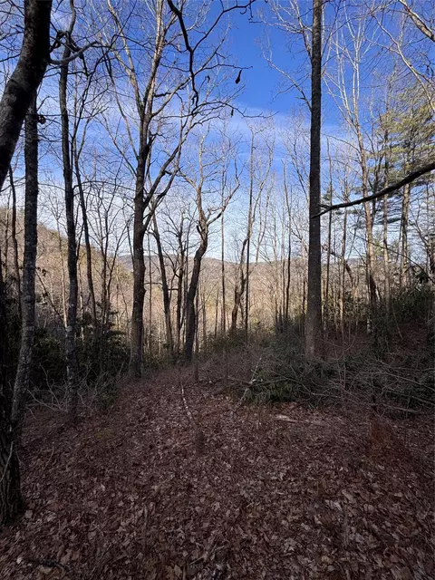 36 Rock Mountain Rd, Sapphire, NC 28774 photo 14