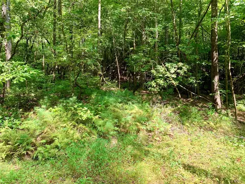 lot6 Double Creek Rd, Brevard, NC 28712 photo 4