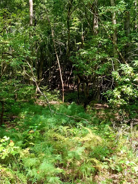 lot6 Double Creek Rd, Brevard, NC 28712 photo 3