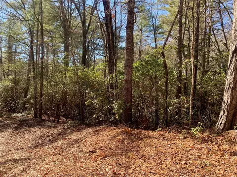 tbd Oak Ridge Dr, Brevard, NC 28712 photo 2