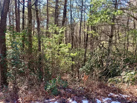 tbd Oak Ridge Dr, Brevard, NC 28712 photo 7