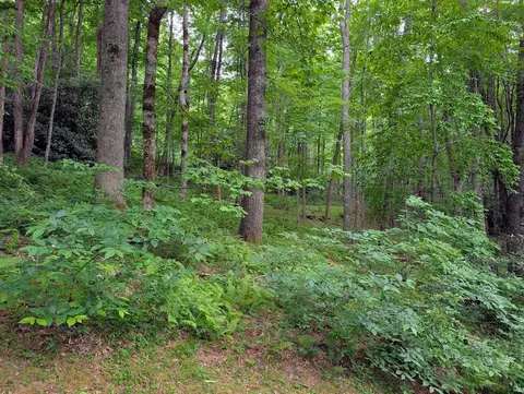 lot1 Upper Meadow Rd, Cullowhee, NC 28723 photo 6