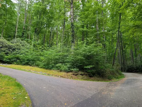 lot1 Upper Meadow Rd, Cullowhee, NC 28723 photo 2
