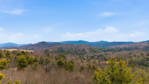 16 Trillium Ridge Rd, Cullowhee, NC 28723 photo 8