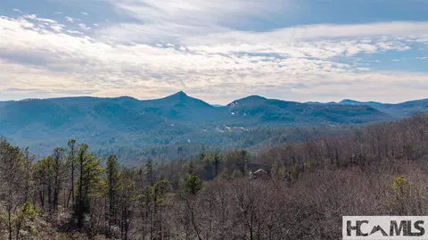 Other - 142 Eagle Ridge Rd #2304, Sapphire, NC 28774 photo 4 of 20