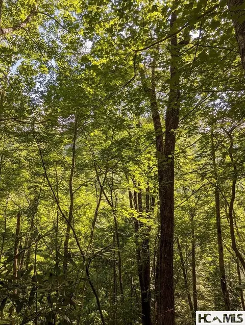 lot24 Pilot Knob Rd, Glenville, NC 28736