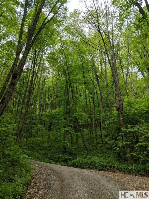 0 Buck Knob Rd, Cullowhee, NC 28723 photo 7