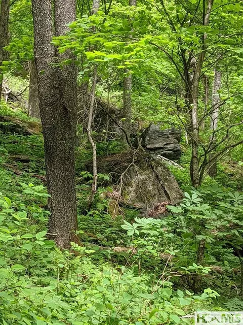 0 Buck Knob Rd, Cullowhee, NC 28723 photo 9