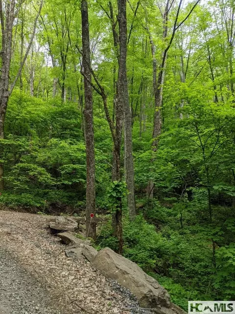0 Buck Knob Rd, Cullowhee, NC 28723 photo 8
