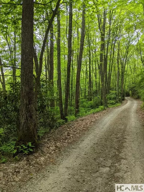 0 Buck Knob Rd, Cullowhee, NC 28723 photo 6