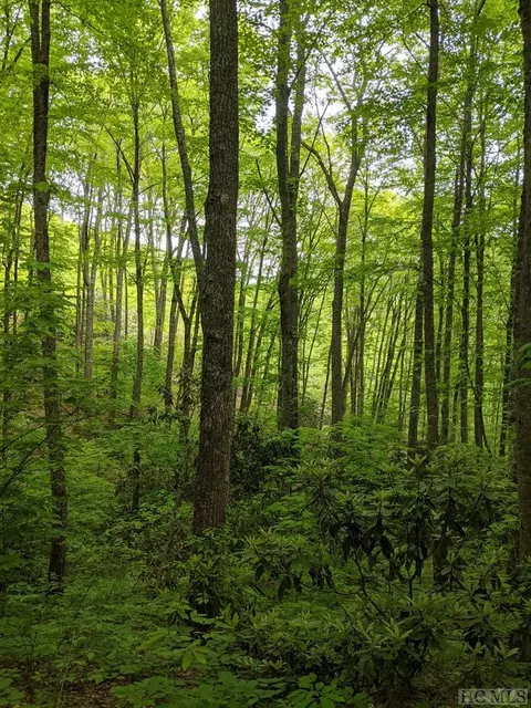 17010 Buck Knob Rd, Cullowhee, NC 28723 photo 6