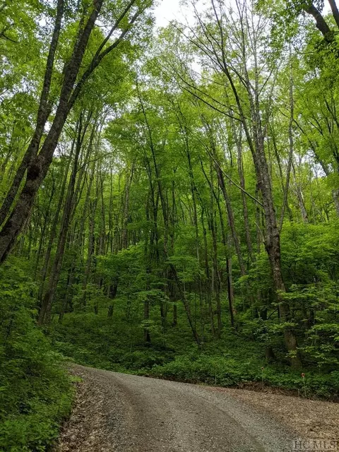 17010 Buck Knob Rd, Cullowhee, NC 28723 photo 5