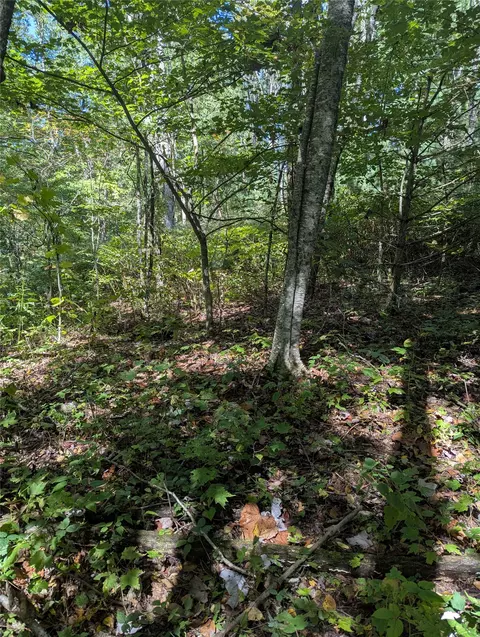 0 Double Springs Ln, Cullowhee, NC 28723 photo 4