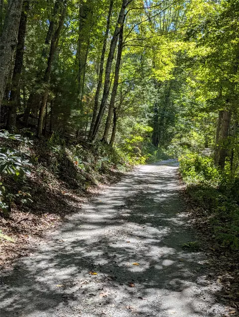 0 Double Springs Ln, Cullowhee, NC 28723 photo 3