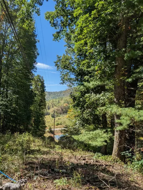 0 Double Springs Ln, Cullowhee, NC 28723 photo 2