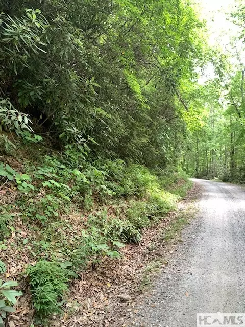 0 Little Ellijay Rd, Franklin, NC 28734 photo 3