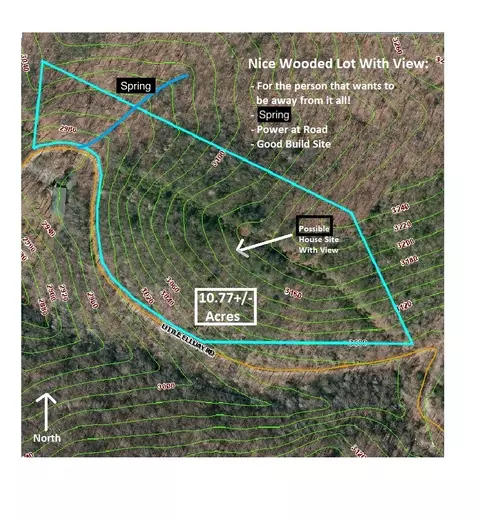 0 Little Ellijay Rd, Franklin, NC 28734 photo 9