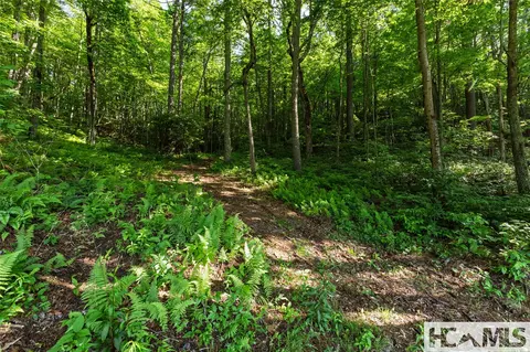 560 Salt Rock Rd, Cullowhee, NC 28723 photo 22
