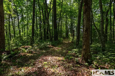 560 Salt Rock Rd, Cullowhee, NC 28723 photo 24