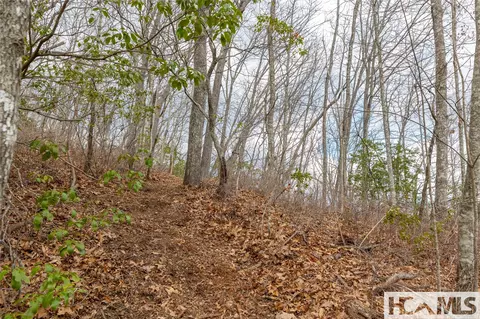lot55 Cullowhee Forest Rd, Cullowhee, NC 28723 photo 6