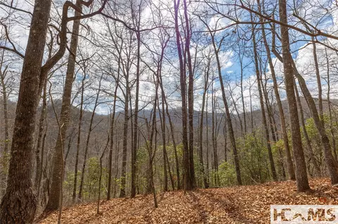 lot55 Cullowhee Forest Rd, Cullowhee, NC 28723 photo 14