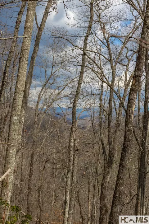 lot55 Cullowhee Forest Rd, Cullowhee, NC 28723 photo 16