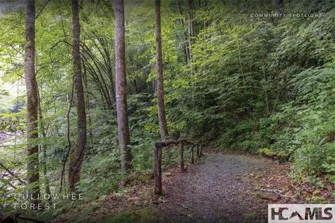 lot55 Cullowhee Forest Rd, Cullowhee, NC 28723 photo 25