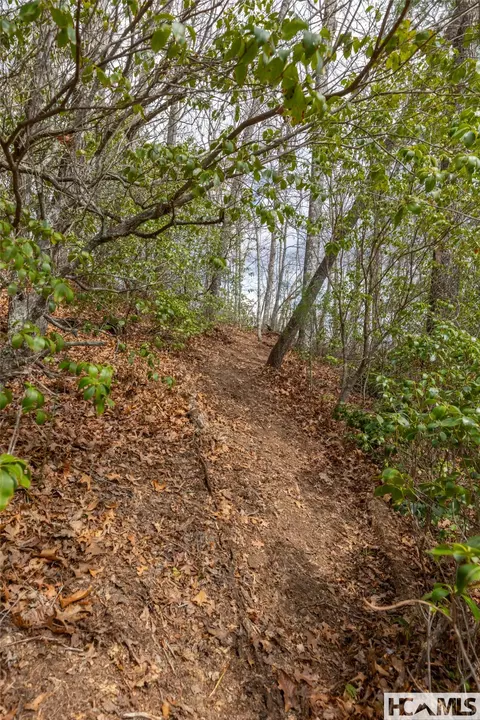 lot55 Cullowhee Forest Rd, Cullowhee, NC 28723 photo 5
