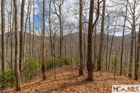 lot55 Cullowhee Forest Rd, Cullowhee, NC 28723 photo 9