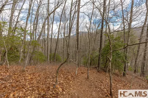 lot55 Cullowhee Forest Rd, Cullowhee, NC 28723 photo 13