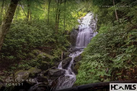lot55 Cullowhee Forest Rd, Cullowhee, NC 28723 photo 27