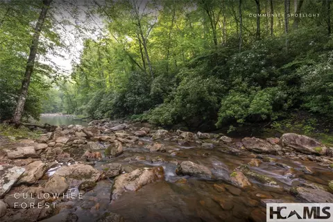 lot55 Cullowhee Forest Rd, Cullowhee, NC 28723 photo 32