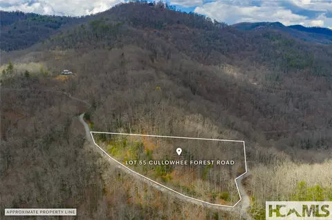 lot55 Cullowhee Forest Rd, Cullowhee, NC 28723 photo 19